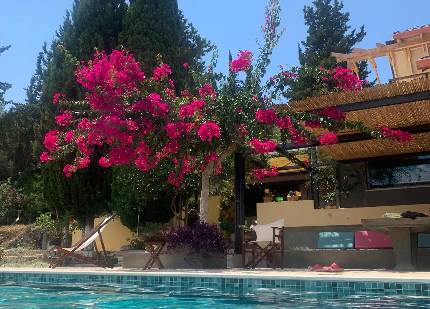 Ulysses Gardens - Villa Dimitra Kouvalata